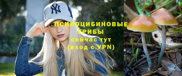 МДМА Ладушкин