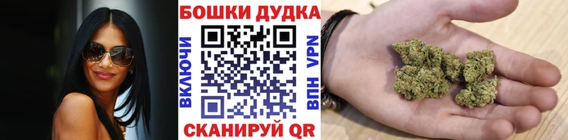 Купить где  Ермолино  Конопля Amnesia 